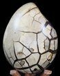 Septarian Dragon Egg Geode - lbs #40935-2